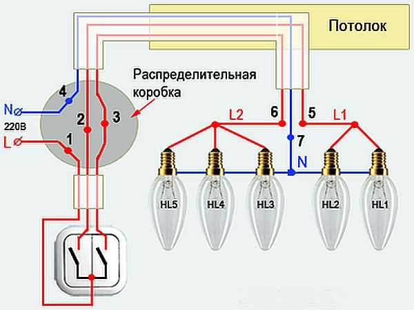 Схема подключения проводов для двухклавишного выключателя